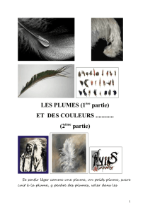 EXPOSE PLUMES - Ornithopassion Gelos Pau