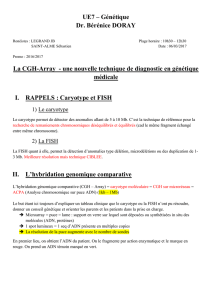 UE7 – Génétique Dr. Bérénice DORAY La CGH-Array