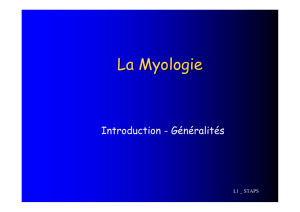 Généralités myologie