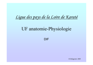 anatphysio Ligue des pays de la Loire de Karaté