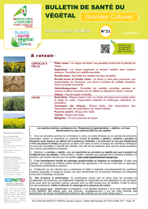 bulletin de santé du végétal - Chambre d`Agriculture du Gers