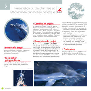 Préservation du dauphin rayé en Méditerranée par analyse génétique