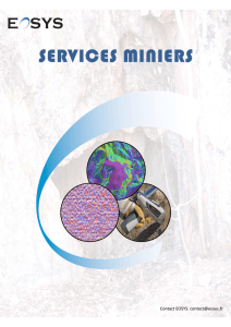 services miniers