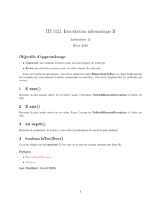ITI 1521. Introduction informatique II
