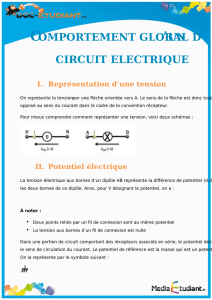 comportement global d circuit electrique