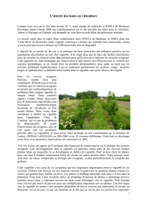 Intéret Haies en viticulture (bulletin 16)
