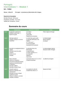 Portugais Intermédiaire 1 – Module 1 Sommaire du cours