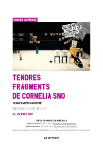 Dossier de presse "Tendres fragments de Cornélia Sno"