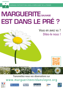 Flyer Marguerite - Réseau Ecole et Nature