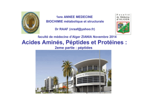Acides Aminés, Péptides et Protéines :