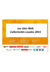 Les sites Web Collectivités Locales 2015