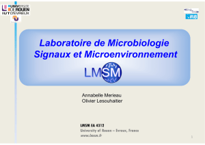 Laboratoire de Microbiologie Signaux et Microenvironnement