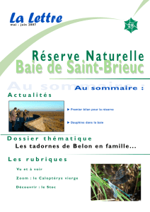 La Lettre n°29 - Réserve naturelle baie de saint brieuc