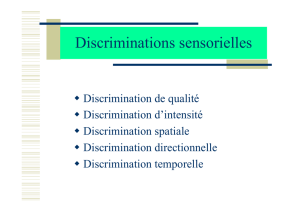 Discriminations sensorielles