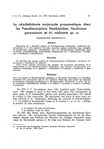 Neobisium pyreno/cum et N. mahnerti sp. n.