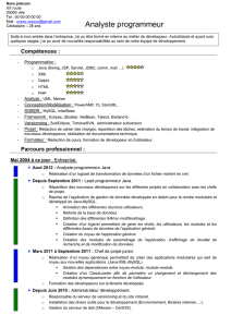 CV Démarqué 2 - Developpez.net