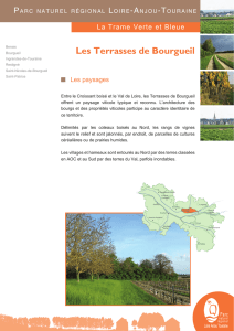 Les Terrasses de Bourgueil - Parc Naturel Régional Loire Anjou