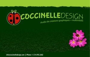 portfolio - Coccinelle Design