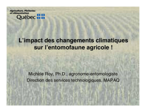 L`impact des changements climatiques sur l`entomofaune agricole !