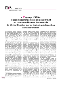 « Peignage d`ADN » et grands réarrangements du gène BRCA1 ou