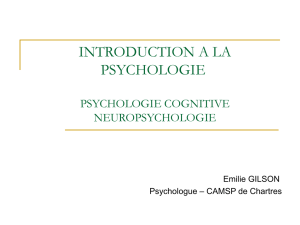 introduction a la psychologie - E
