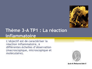 Thème 3-A TP1 : La réaction inflammatoire