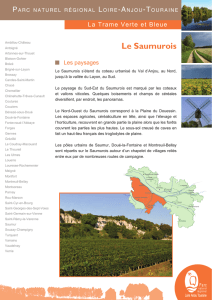 Le Saumurois - Parc naturel régional Loire-Anjou