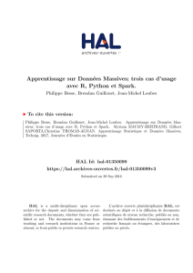 Hal-Apprent_Massif-BGL-06