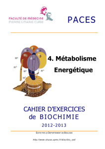 CAHIER D`EXERCICES de BIOCHIMIE 4. Métabolisme Energétique