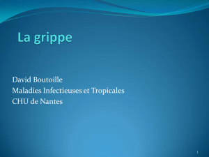 David Boutoille Maladies Infectieuses et Tropicales CHU de Nantes
