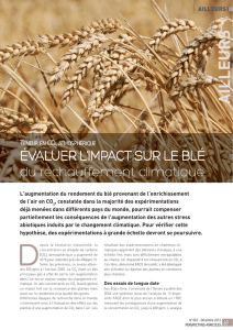Teneur en CO2 atmosphérique : évaluer l`impact sur le blé du