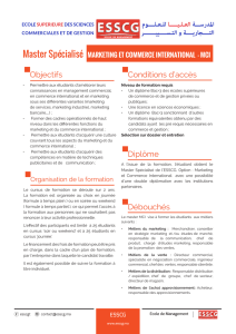 Brochure du Master Marketing et Commerce International