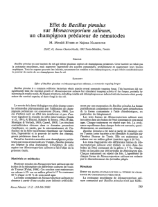 Effet de Bacillus pimulus sur Monacrosporium salinum, un