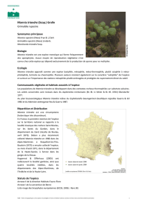 Mannia triandra (Scop.) Grolle - Fédération des Conservatoires