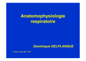 Physio Respi MK1 04 - delplanque