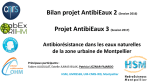 Projet AntibiEaux 3 (Session 2017)