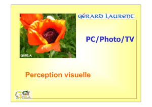 Perception visuelle