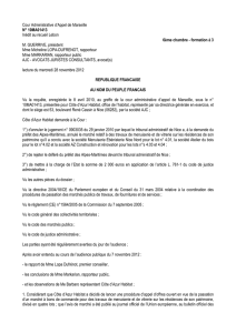 Cour administrative d`appel de Marseille, n° 10MA01413