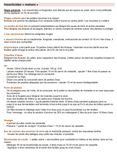 Insecticides Maison (77 Ko PDF)