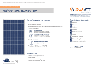 Module bi-verre : SOLARWATT 60P