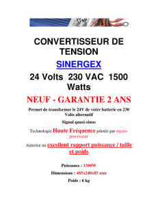 CONVERTISSEUR DE TENSION SINERGEX 24 Volts 230 VAC