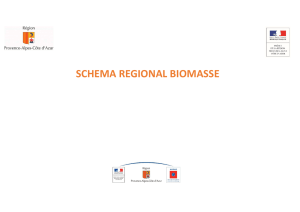 Schéma Régional Biomasse