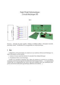 Sujet Projet Informatique: Circuit électrique 3D