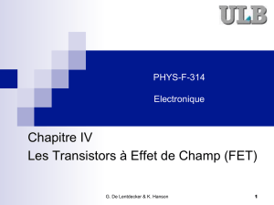 Chapitre IV Les Transistors à Effet de Champ (FET)