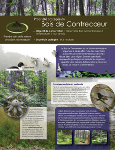 Bois de Contrecœur - Nature