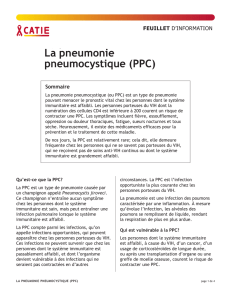 PDF imprimable