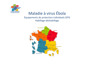 Maladie à virus Ébola - CClin