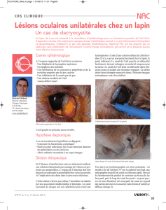 Lésions oculaires unilatérales chez un lapin NAC