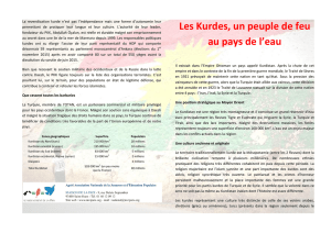 Flyer Kurdistan (PDF-Version