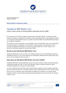 Hiprabovis IBR Marker Live - EMA